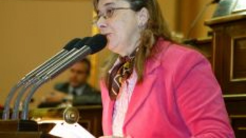 El PNV presenta en el Senado un veto y 66 enmiendas parciales al Proyecto de Ley de Dependencia