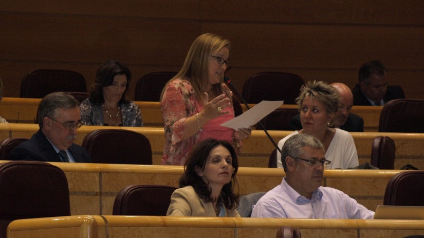 La ministra de Fomento responde a la senadora Iparragirre que el apeadero de Ventas, en Irun, estará remodelado en junio de 2015