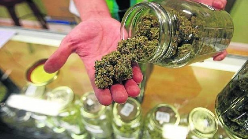 El PNV insta al Gobierno central a regular la actividad de los Clubes Sociales de Cannabis