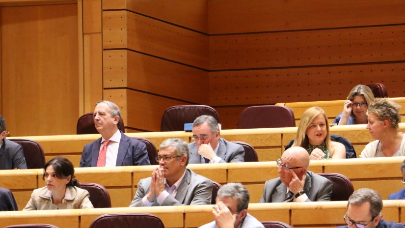 El Grupo Vasco en el Senado, confortado por la confirmación del Gobierno francés de que cumplirá en plazo la conexión de su red ferroviaria con la Y vasca