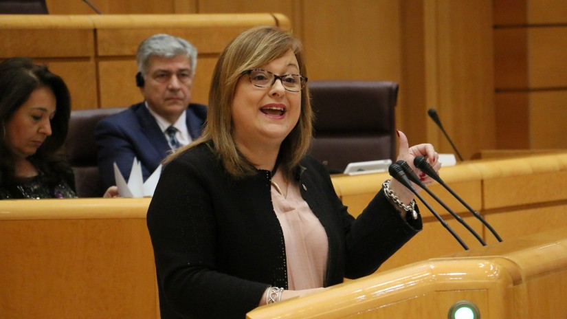 Iparragirre denuncia que el Gobierno del Estado incumple la Carta Europea de las Lenguas Minorizadas y que no da pasos para garantizar el uso del euskera