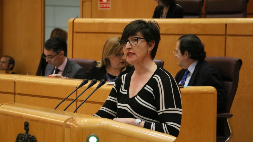 Etxano aboga por regular el alquiler ocasional de alojamiento turístico