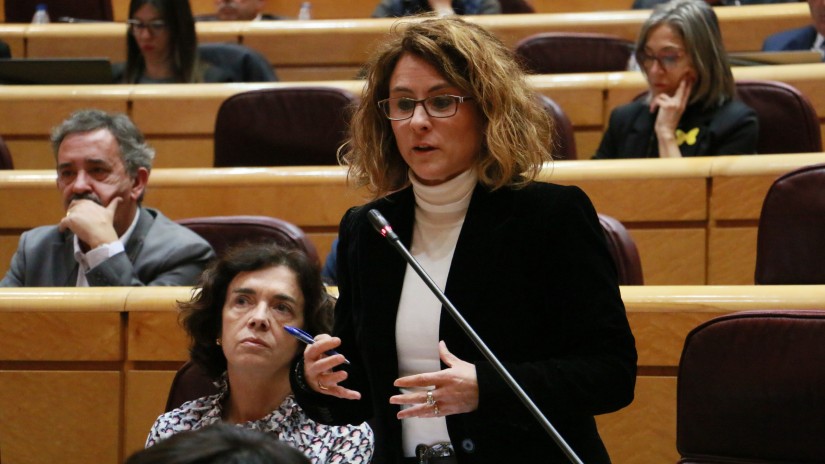 Almudena Otaola pide legitimar a las asociaciones profesionales de la cultura para litigar en nombre de sus asociados