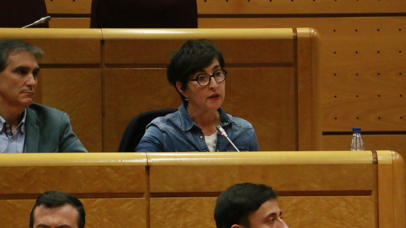 María Dolores Etxano critica la “instrumentalización” que el Partido Popular hace del Senado