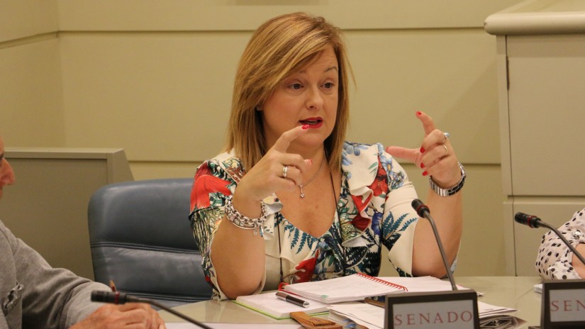 EAJ-PNV impulsa la eliminación del lenguaje sexista en el Senado