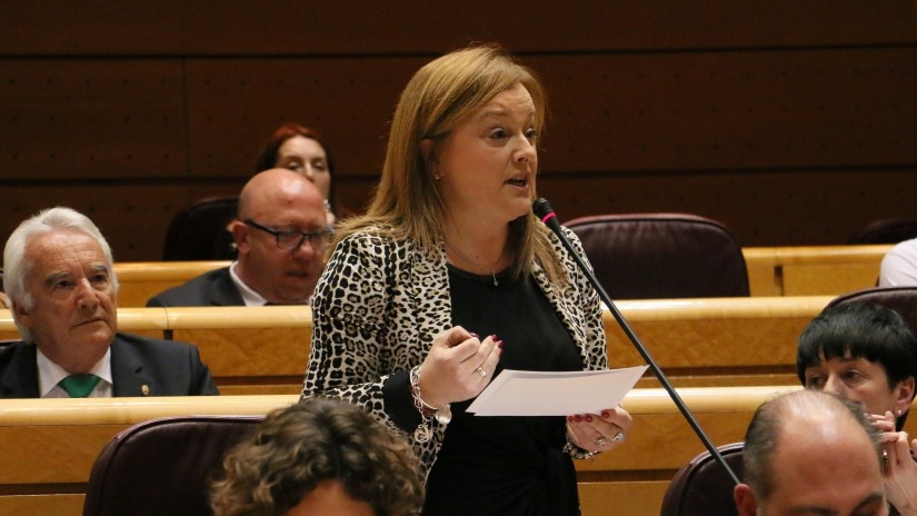 Iparragirre reclama al Gobierno central que vele por el cumplimiento de los compromisos de los entes públicos en materia de igualdad