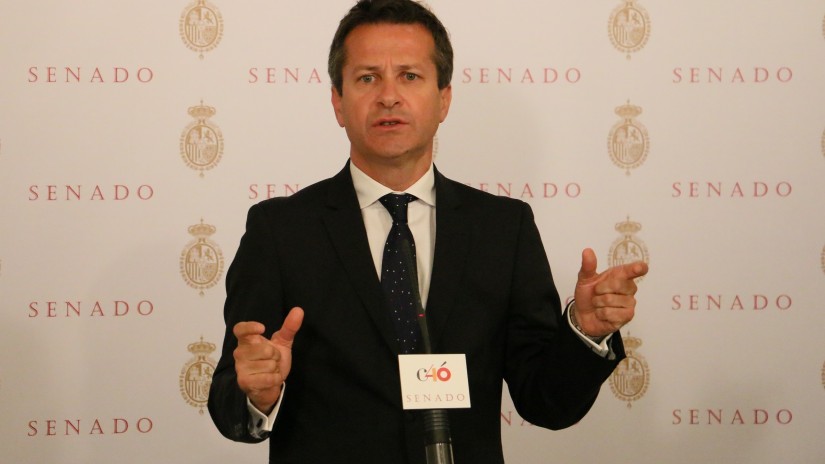 Bildarratz aplaude que el PP asuma en el Senado una iniciativa del Parlamento Vasco en materia de paz y convivencia que no respaldó el PP de Euskadi