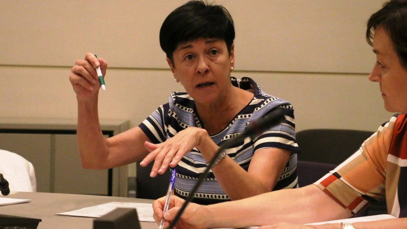 Nerea Ahedo constata que correspondería a las comunidades autónomas habilitar que las farmacias puedan realizar pruebas de detección de Covid-19