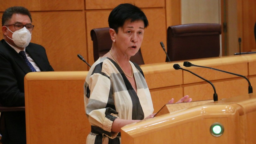 A instancias de EAJ-PNV, el Senado reclama crear un espacio de encuentro entre administraciones para gestionar el fenómeno migratorio