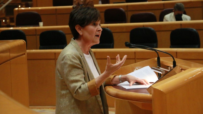 Mertxe Garmendia llama a cambiar el actual modelo de traslado del precio de la electricidad del mercado mayorista al consumidor final