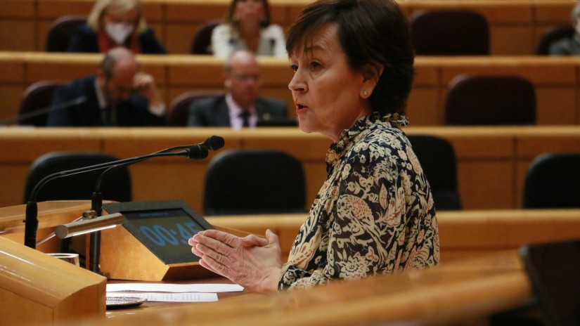 EAJ-PNV defiende que las interconexiones energéticas con Europa se desarrollen junto con las CCAA que, “como Euskadi, han creado infraestructuras importantes”