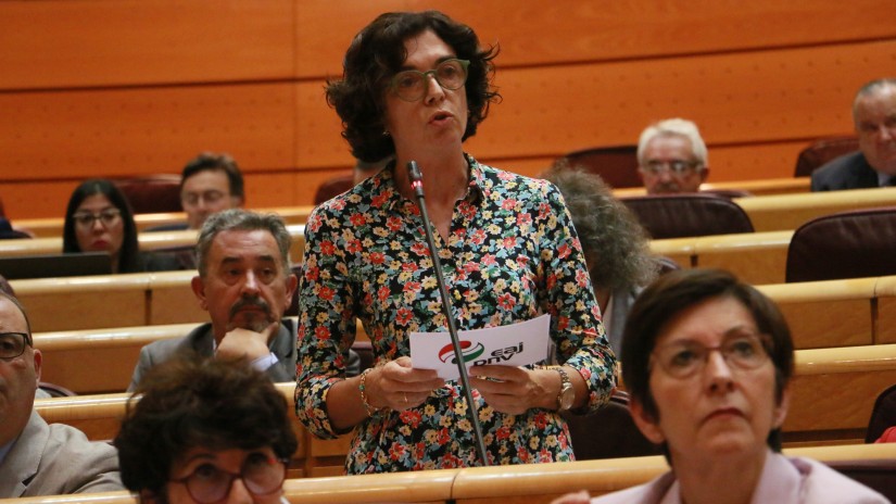 Rosa Peral reclama al Ministro de Universidades que promueva la incorporación del euskera a la plataforma europea de apoyo lingüístico OLS