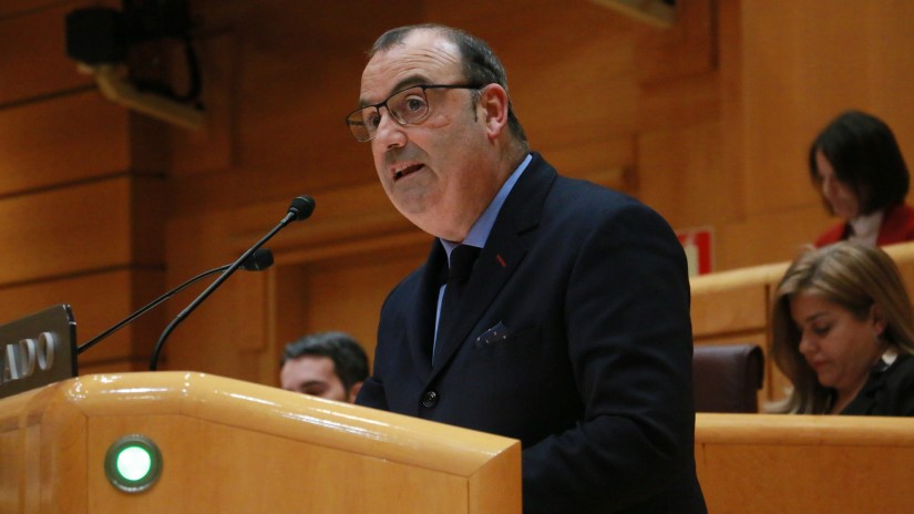 Luke Uribe-Etxebarria defiende en el Senado la propuesta del PERTE Territorial de Euskadi presentado ayer por el consejero Pedro Azpiazu