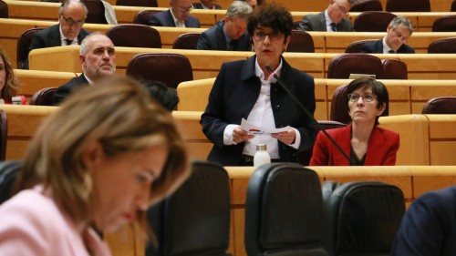 EAJ-PNV presenta veto en el Senado a la Ley de Vivienda por considerar que limita el autogobierno vasco
