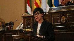 María Dolores Etxano,denuncia que el PP hace un uso partidista del Senado para debatir sobre la amnistía y tratar de influir en acuerdos de gobierno