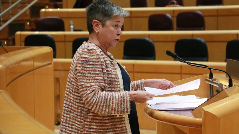 EAJ-PNV reclamará al Gobierno que haga efectiva la retribución del permiso parental de ocho semanas EAJ-PNV reclamará al Gobierno que haga efectiva la retribución del permiso parental de ocho semanas