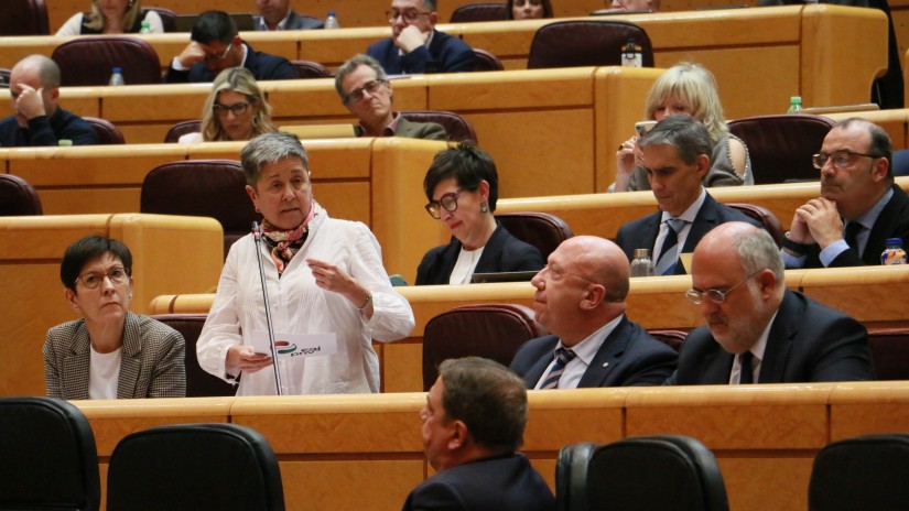 EAJ-PNV apremiará al Gobierno estatal para que agilice los trámites para las personas demandantes de asilo EAJ-PNV apremiará al Gobierno estatal para que agilice los trámites para las personas demandantes de asilo